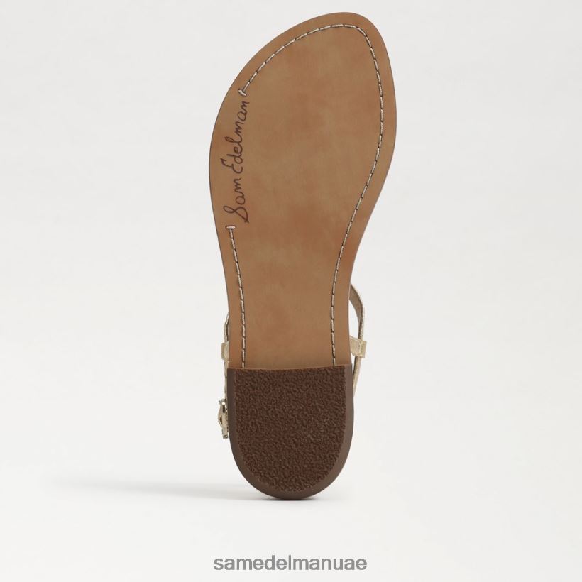 ذهب أحذية Sam Edelman نحيف صندل جيجي سيجنيت ثونغ 246L6T560