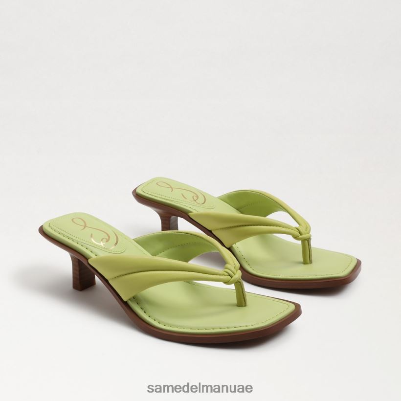 جلد الكيوي أحذية Sam Edelman نحيف صندل دافني ثونغ 246L6T710