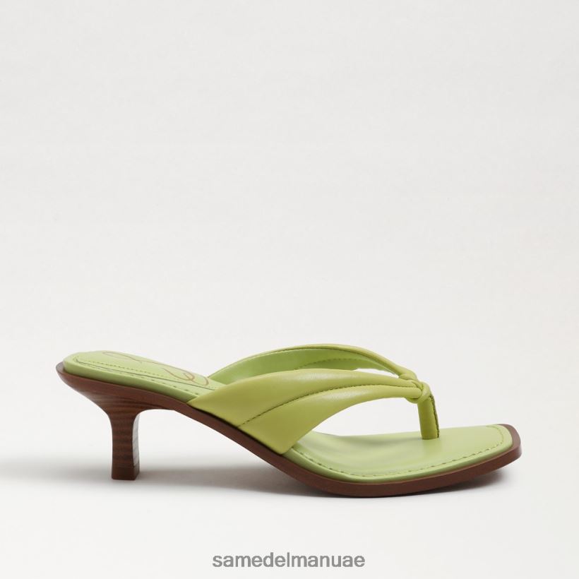 جلد الكيوي أحذية Sam Edelman نحيف صندل دافني ثونغ 246L6T710