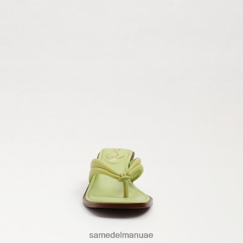جلد الكيوي أحذية Sam Edelman نحيف صندل دافني ثونغ 246L6T710