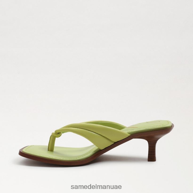جلد الكيوي أحذية Sam Edelman نحيف صندل دافني ثونغ 246L6T710