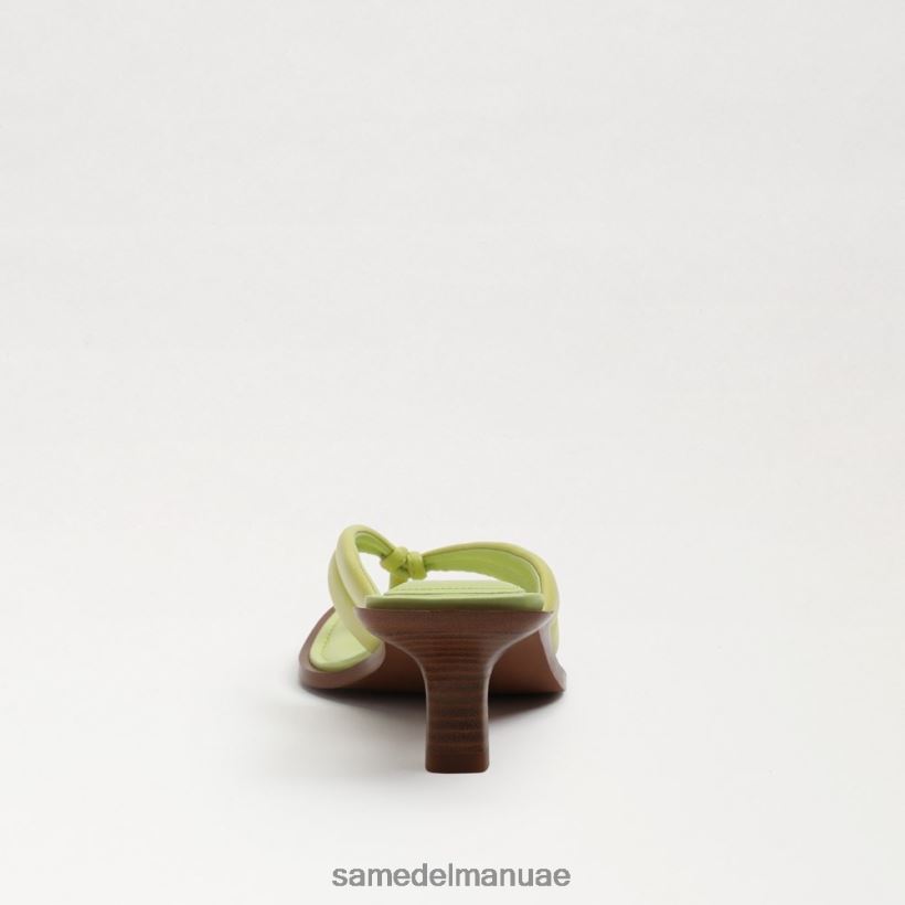 جلد الكيوي أحذية Sam Edelman نحيف صندل دافني ثونغ 246L6T710