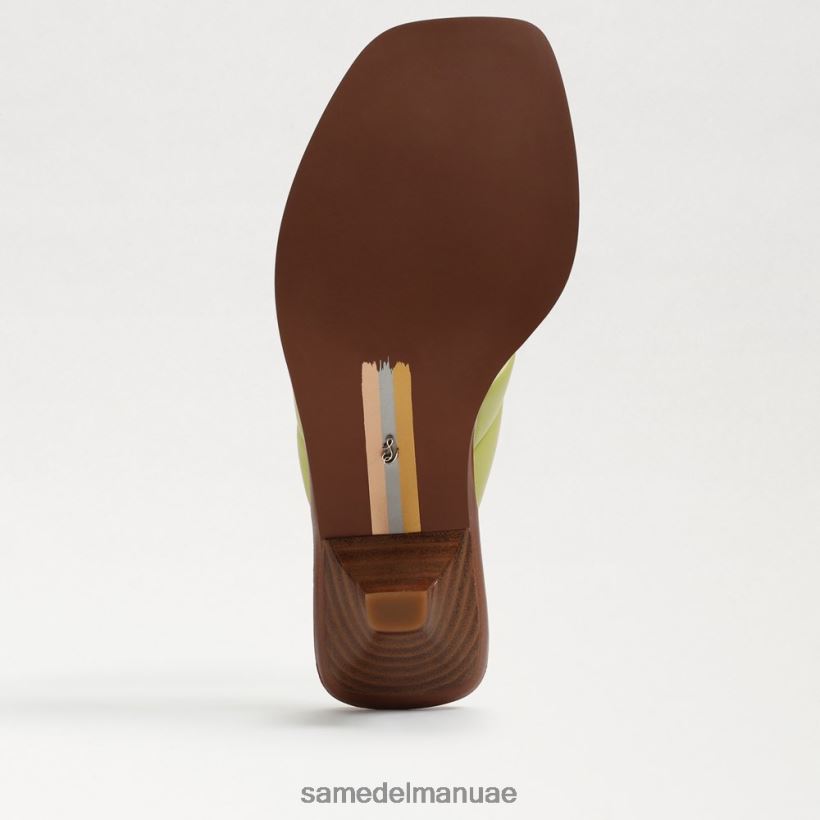 جلد الكيوي أحذية Sam Edelman نحيف صندل دافني ثونغ 246L6T710