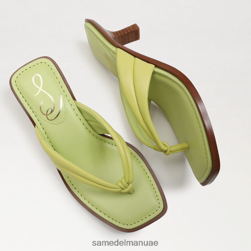 جلد الكيوي أحذية Sam Edelman نحيف صندل دافني ثونغ 246L6T710