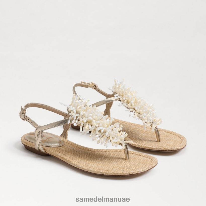 أوراق الذهب أحذية Sam Edelman نحيف بريندا ثونغ صندل 246L6T727